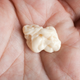 Image for article titled Star Basketball Player Chokes to Death on Gum While Asleep